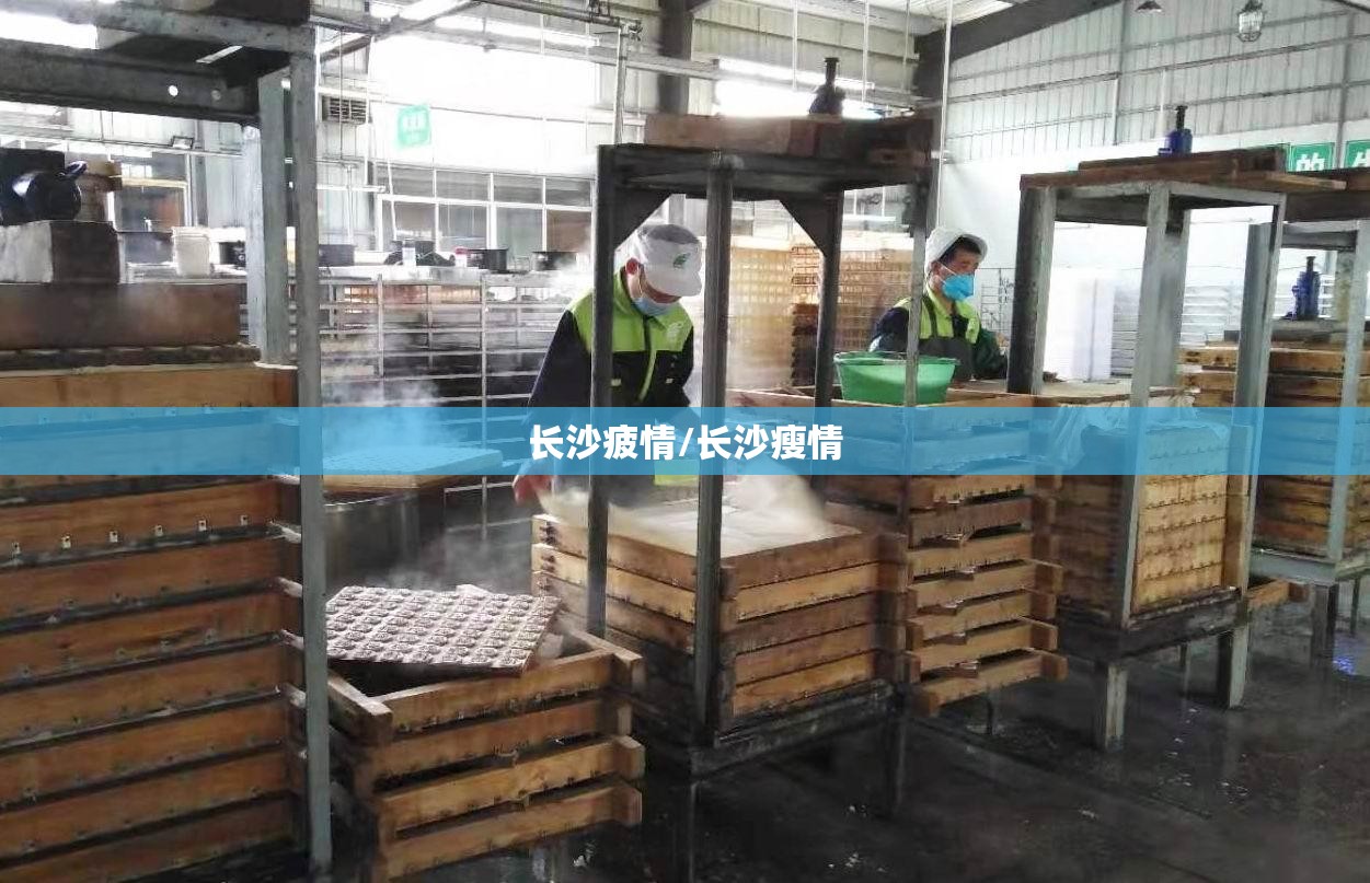 长沙疲情/长沙瘦情
