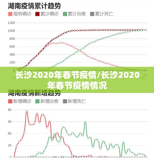 长沙2020年春节疫情/长沙2020年春节疫情情况