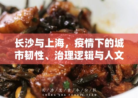 长沙与上海，疫情下的城市韧性、治理逻辑与人文回响