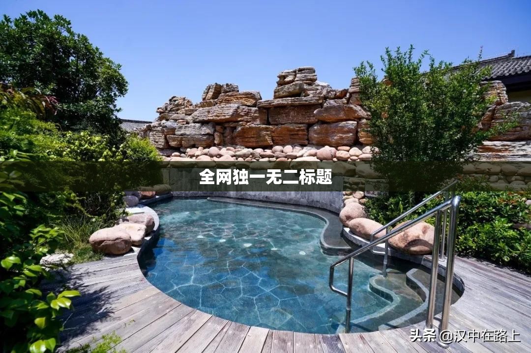 全网独一无二标题