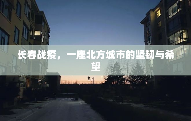 长春战疫，一座北方城市的坚韧与希望