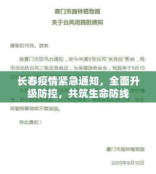 长春疫情紧急通知，全面升级防控，共筑生命防线