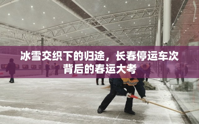 冰雪交织下的归途，长春停运车次背后的春运大考