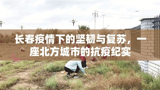 长春疫情下的坚韧与复苏，一座北方城市的抗疫纪实