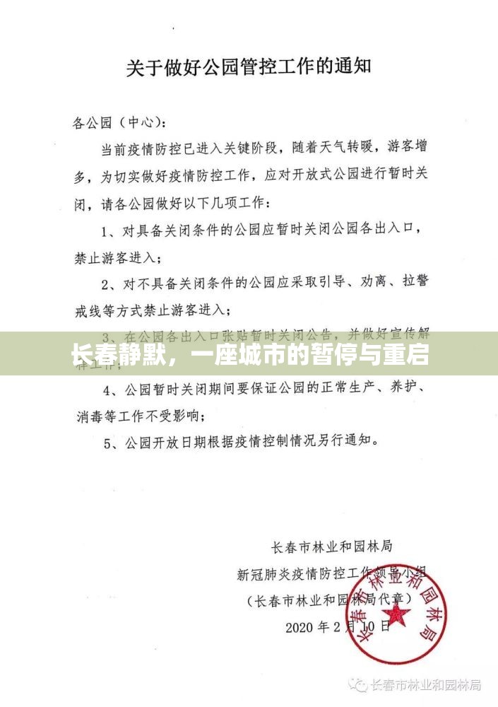 长春静默，一座城市的暂停与重启