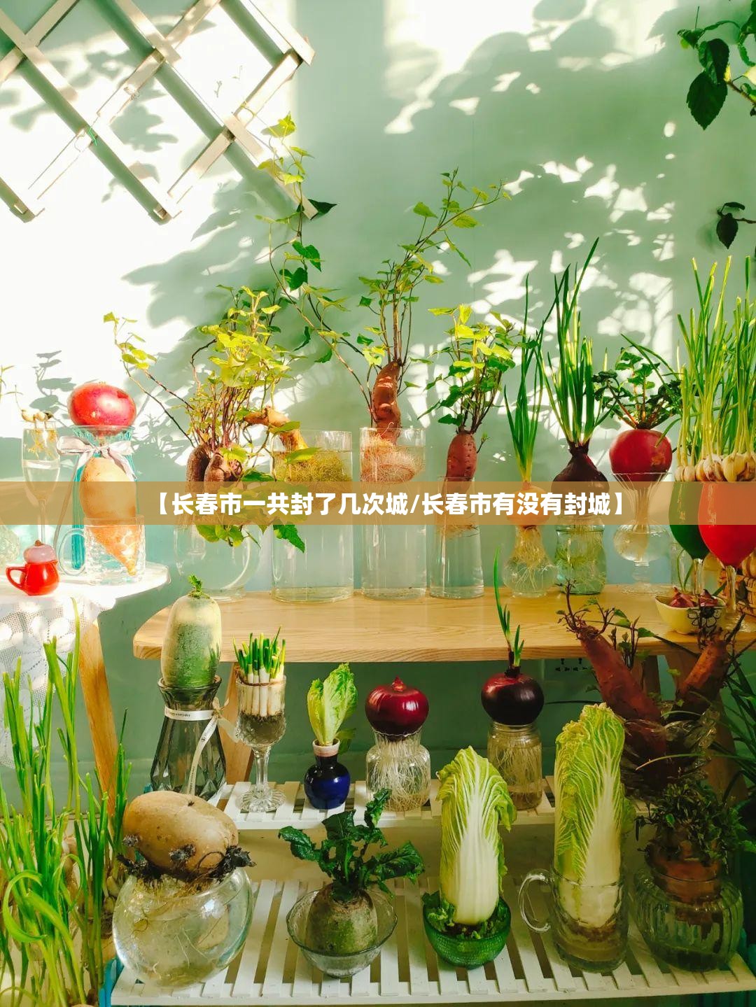 【长春市一共封了几次城/长春市有没有封城】