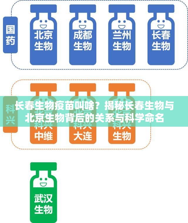 长春生物疫苗叫啥？揭秘长春生物与北京生物背后的关系与科学命名