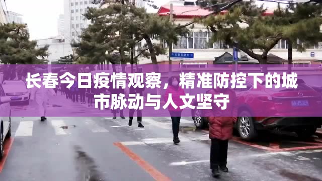 长春今日疫情观察，精准防控下的城市脉动与人文坚守