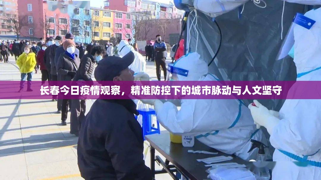长春今日疫情观察，精准防控下的城市脉动与人文坚守
