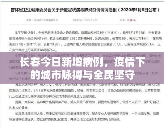长春今日新增病例，疫情下的城市脉搏与全民坚守