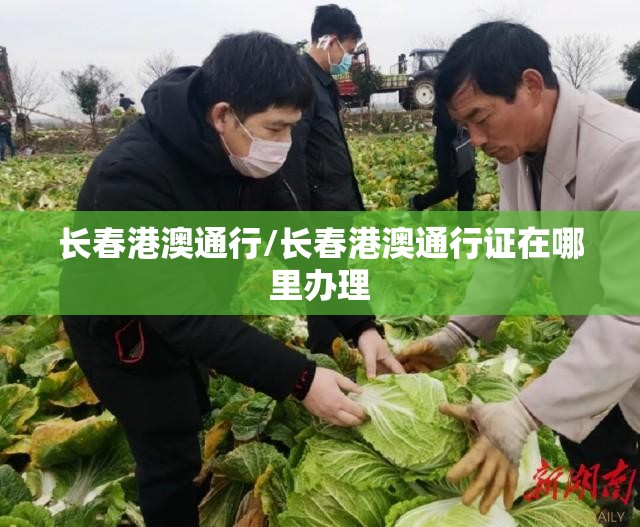 长春港澳通行/长春港澳通行证在哪里办理