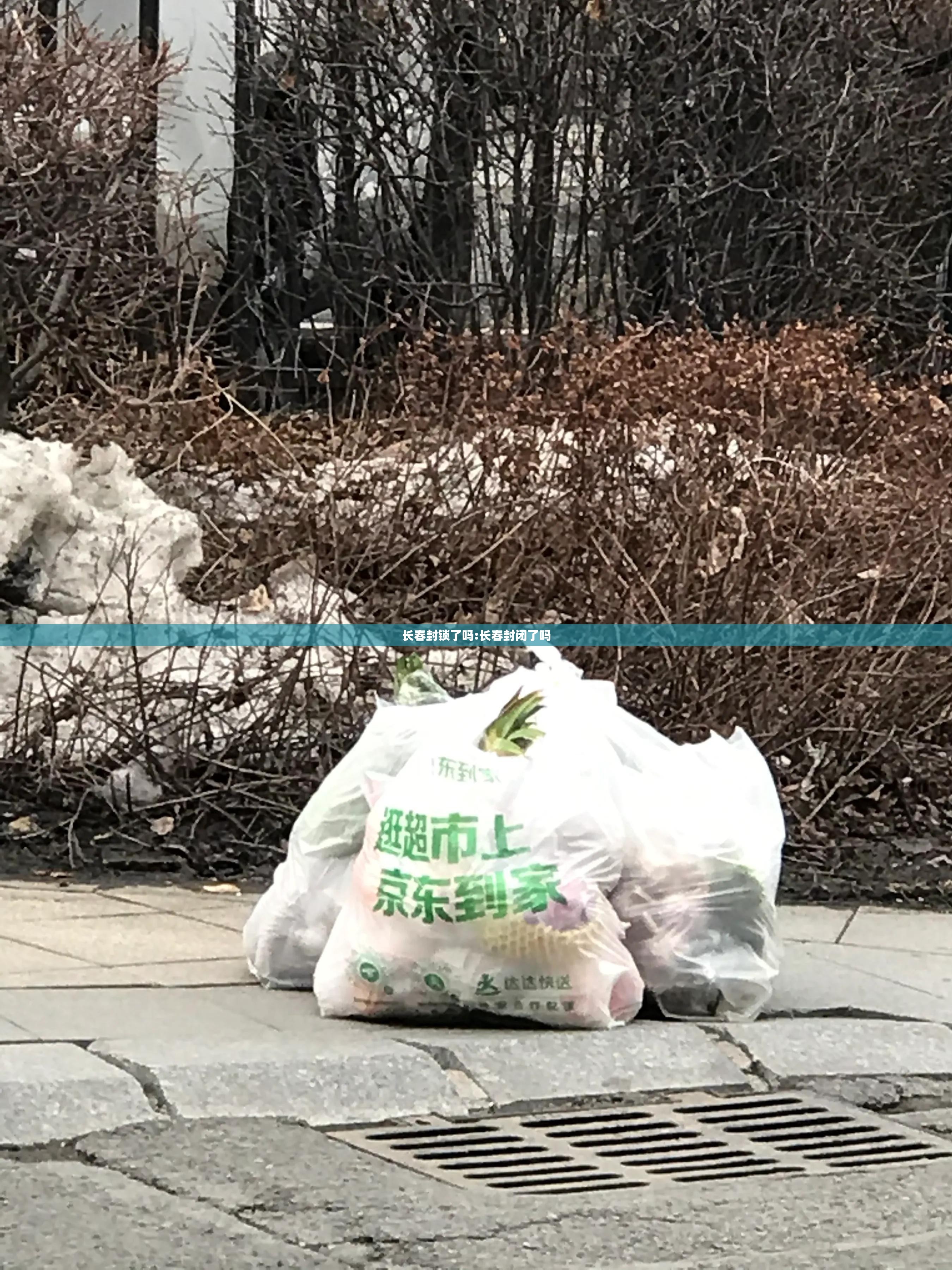 长春封锁了吗:长春封闭了吗