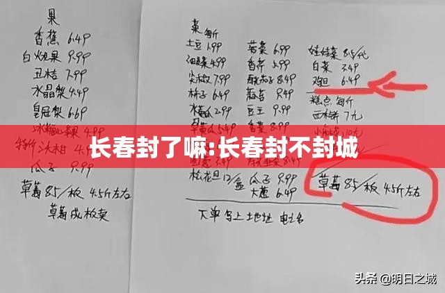 长春封了嘛:长春封不封城