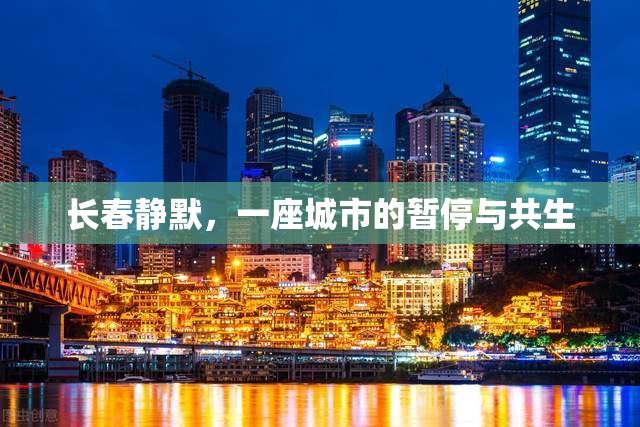长春静默，一座城市的暂停与共生