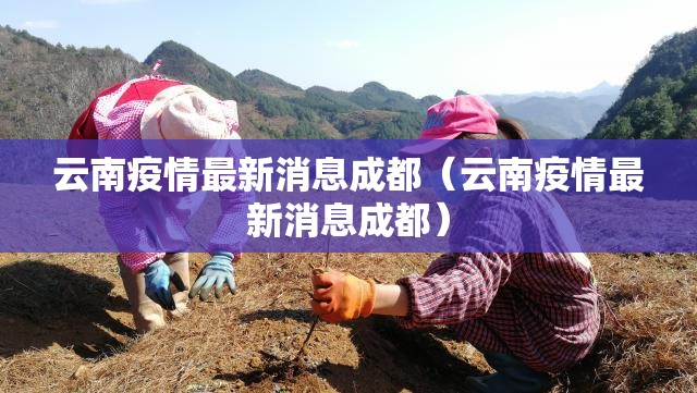 云南疫情最新消息成都（云南疫情最新消息成都）