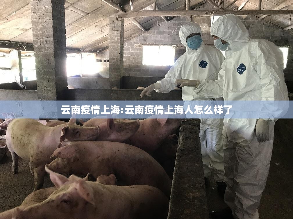 云南疫情上海:云南疫情上海人怎么样了