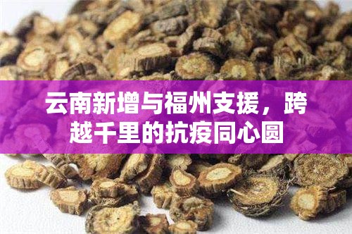 云南新增与福州支援，跨越千里的抗疫同心圆