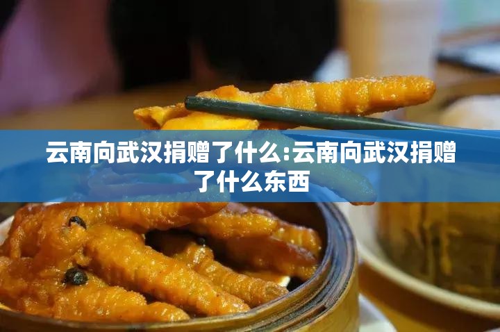云南向武汉捐赠了什么:云南向武汉捐赠了什么东西