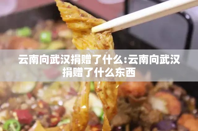 云南向武汉捐赠了什么:云南向武汉捐赠了什么东西