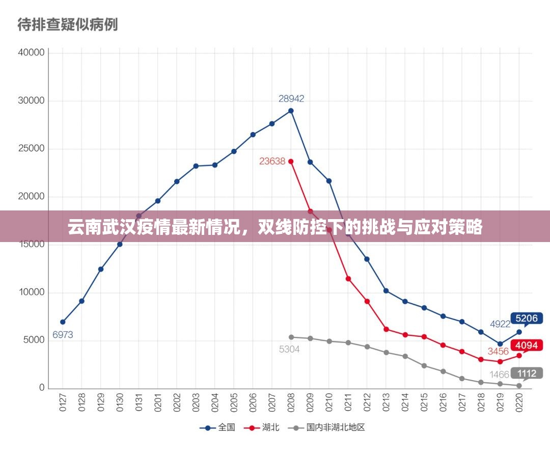 云南武汉疫情最新情况，双线防控下的挑战与应对策略