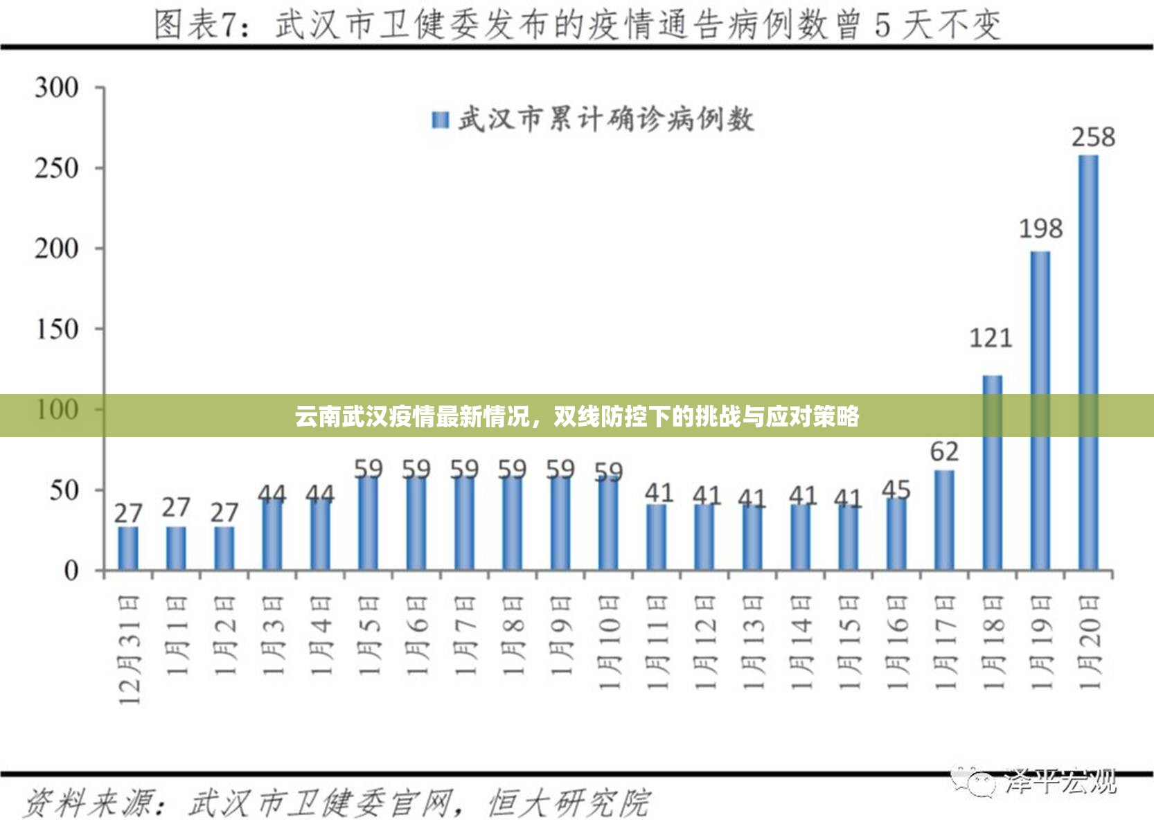 云南武汉疫情最新情况，双线防控下的挑战与应对策略