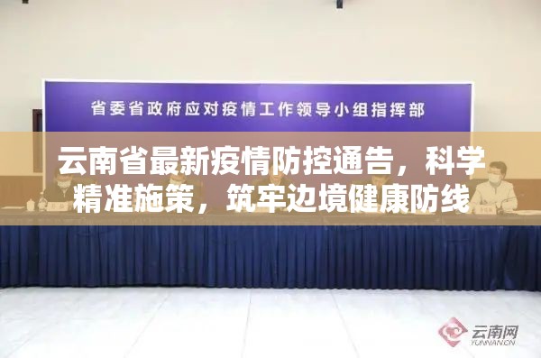云南省最新疫情防控通告，科学精准施策，筑牢边境健康防线
