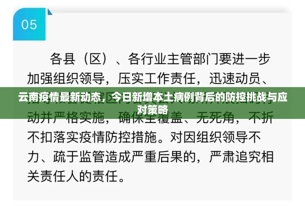 云南疫情最新动态，今日新增本土病例背后的防控挑战与应对策略