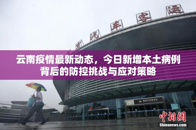 云南疫情最新动态，今日新增本土病例背后的防控挑战与应对策略