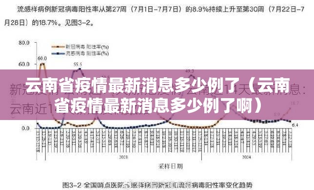 云南省疫情最新消息多少例了（云南省疫情最新消息多少例了啊）