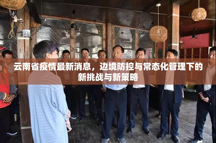 云南省疫情最新消息，边境防控与常态化管理下的新挑战与新策略