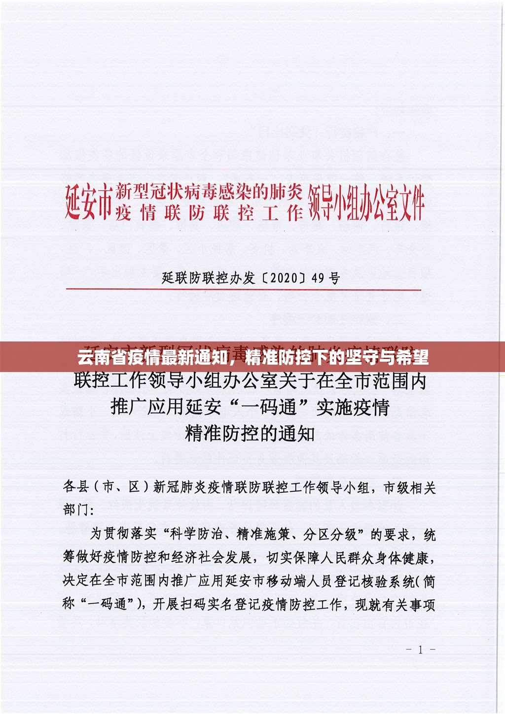 云南省疫情最新通知，精准防控下的坚守与希望