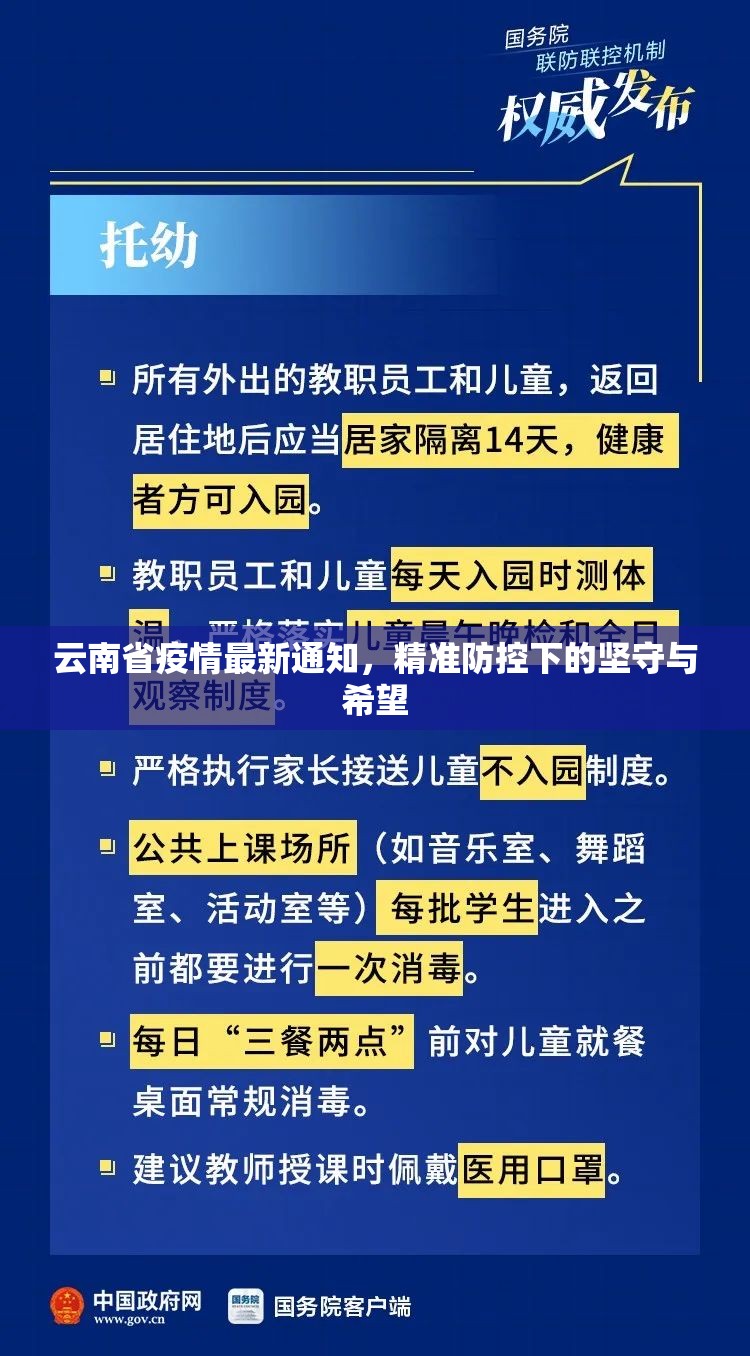 云南省疫情最新通知，精准防控下的坚守与希望