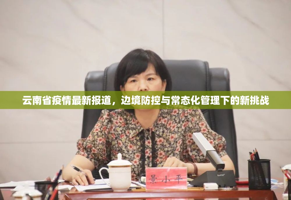 云南省疫情最新报道，边境防控与常态化管理下的新挑战