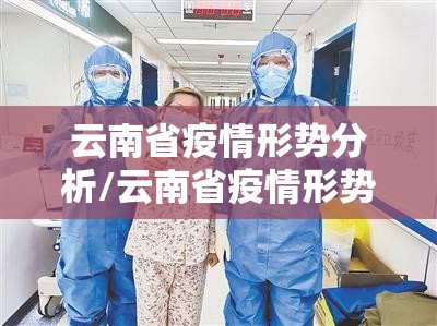 云南省疫情形势分析/云南省疫情形势