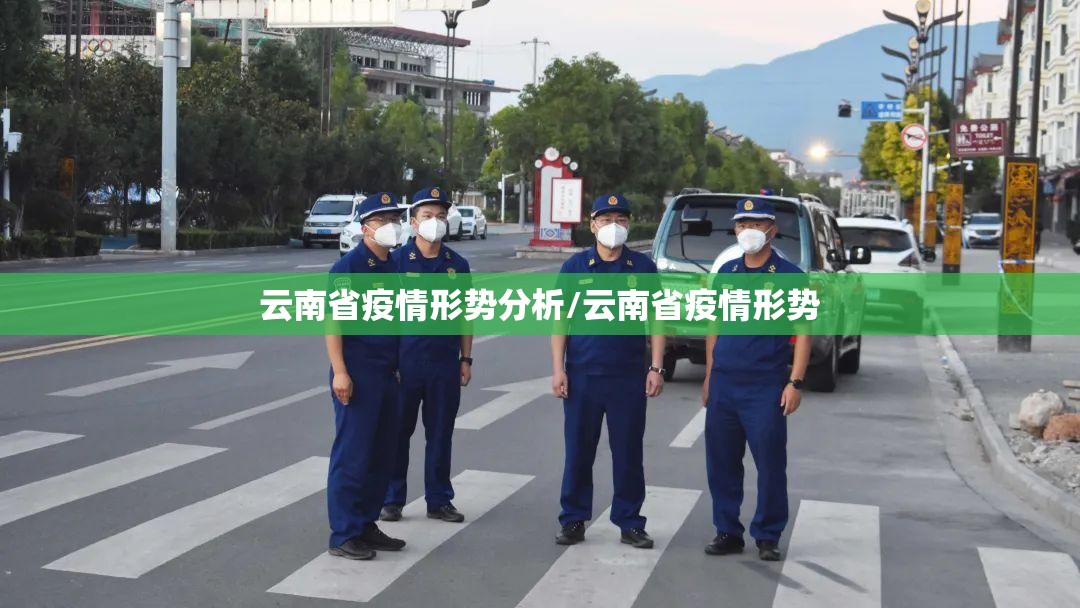 云南省疫情形势分析/云南省疫情形势