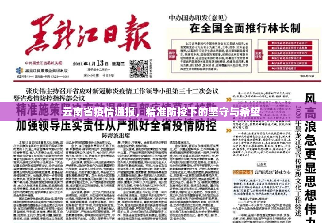 云南省疫情通报，精准防控下的坚守与希望
