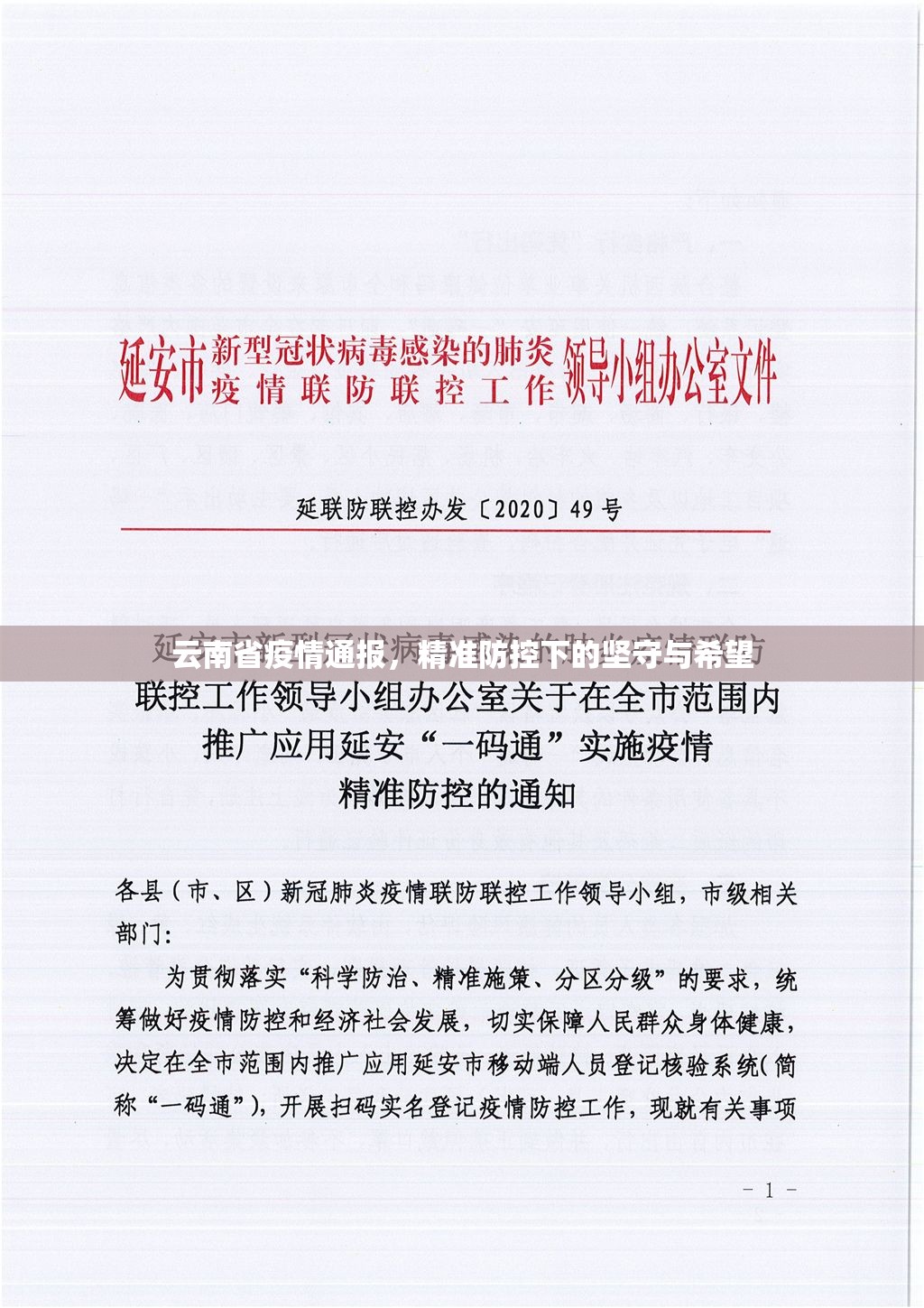 云南省疫情通报，精准防控下的坚守与希望