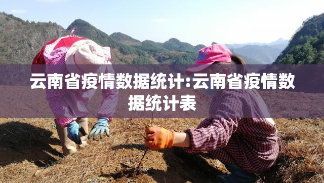 云南省疫情数据统计:云南省疫情数据统计表