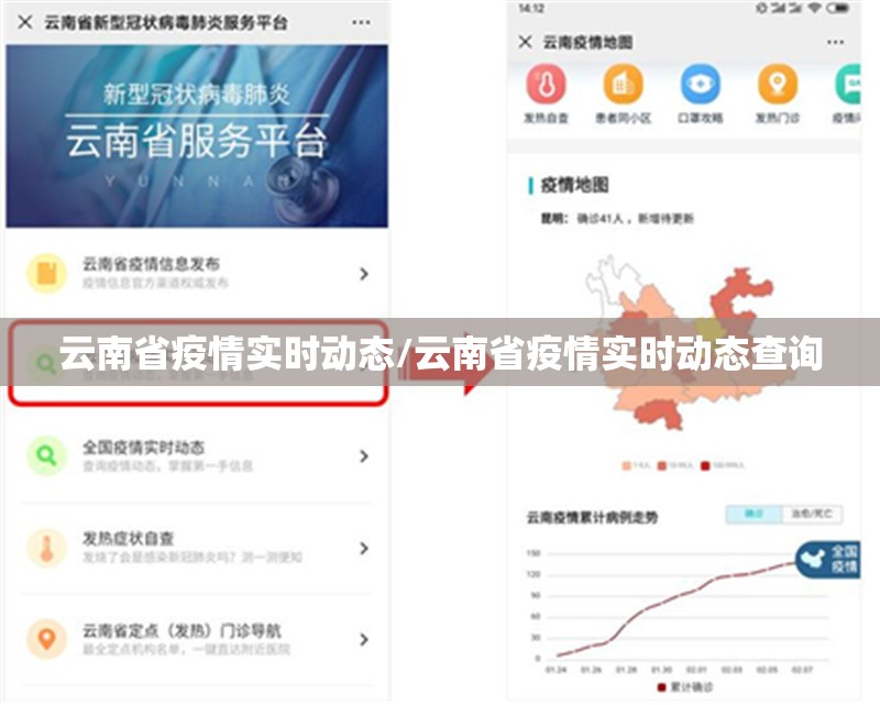云南省疫情实时动态/云南省疫情实时动态查询
