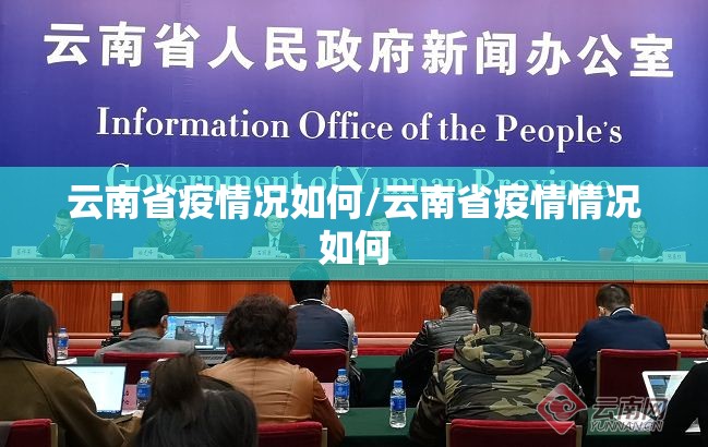云南省疫情况如何/云南省疫情情况如何