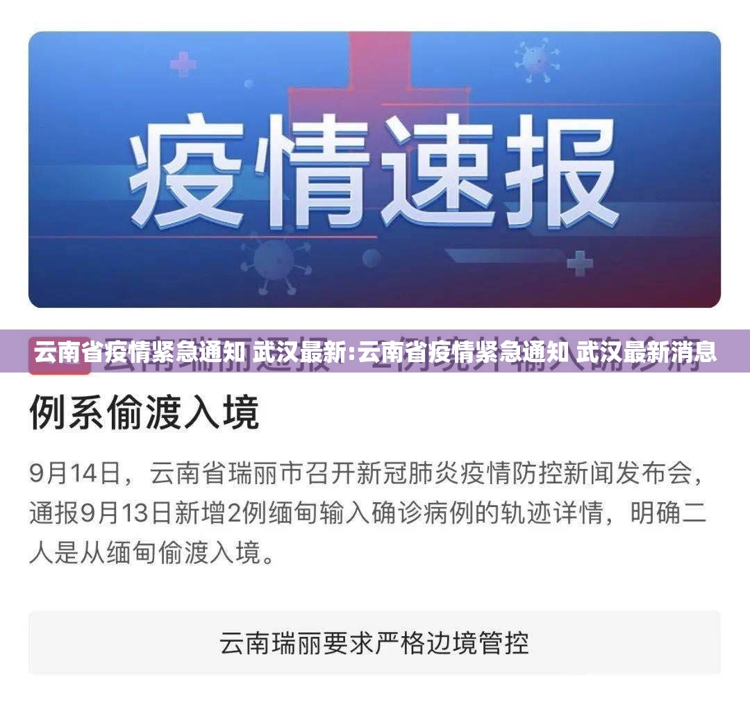 云南省疫情紧急通知 武汉最新:云南省疫情紧急通知 武汉最新消息