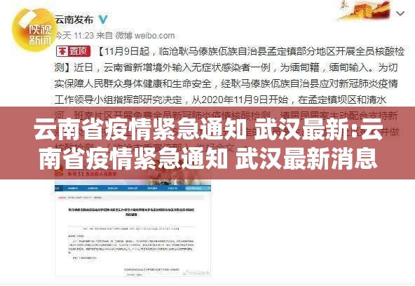 云南省疫情紧急通知 武汉最新:云南省疫情紧急通知 武汉最新消息