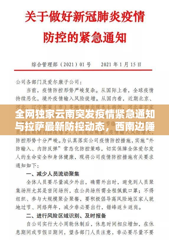 全网独家云南突发疫情紧急通知与拉萨最新防控动态，西南边陲的防疫阻击战