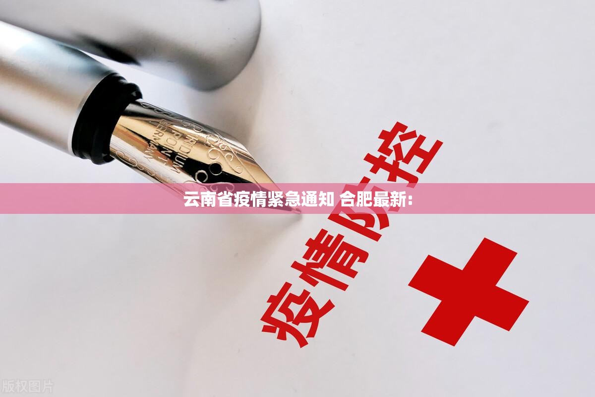 云南省疫情紧急通知 合肥最新: