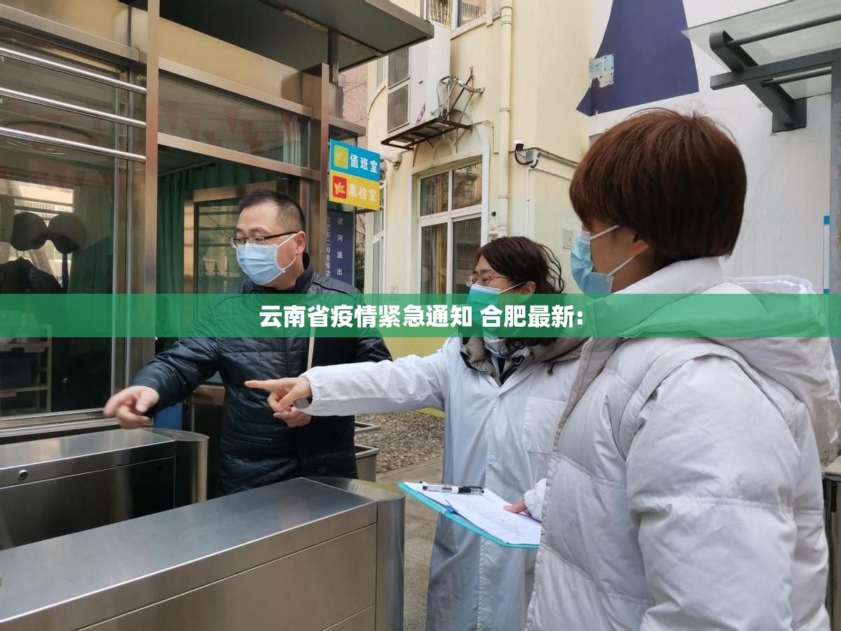云南省疫情紧急通知 合肥最新: