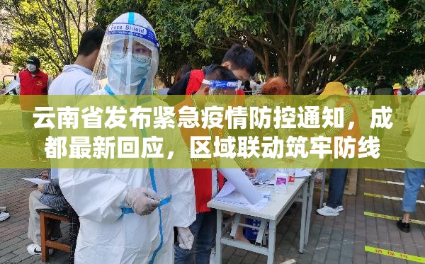 云南省发布紧急疫情防控通知，成都最新回应，区域联动筑牢防线