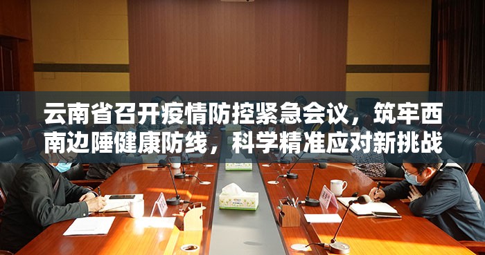 云南省召开疫情防控紧急会议，筑牢西南边陲健康防线，科学精准应对新挑战