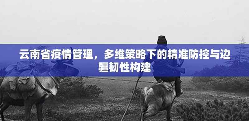 云南省疫情管理，多维策略下的精准防控与边疆韧性构建