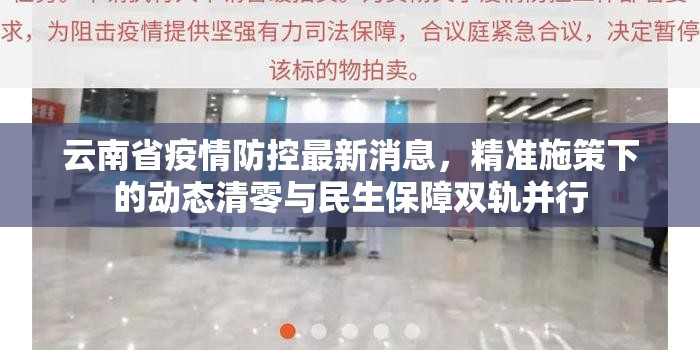 云南省疫情防控最新消息，精准施策下的动态清零与民生保障双轨并行