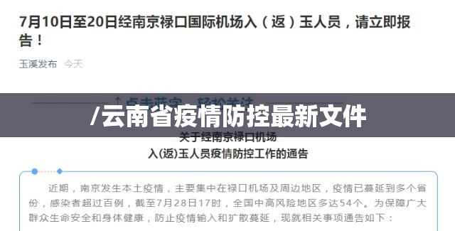 /云南省疫情防控最新文件